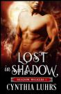 Lost In Shadow - Preview