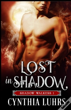 Capa do artigo Lost In Shadow