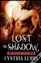 Capa do artigo Lost In Shadow