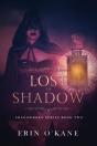 Lost In Shadow: Shadowborn Series, Book - Preview