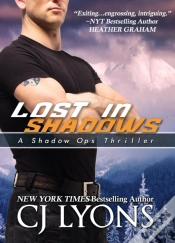 Capa do artigo Lost In Shadows