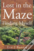 Lost In The Maze Finding Myself