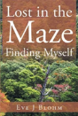 Lost In The Maze Finding Myself - Preview