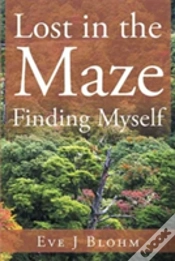 Capa do artigo Lost In The Maze Finding Myself
