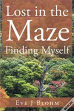 Capa do artigo Lost In The Maze Finding Myself
