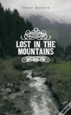 Capa do artigo Lost In The Mountains