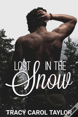 Capa do artigo Lost In The Snow