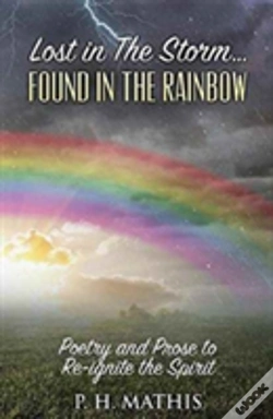 Capa do artigo Lost In The Storm