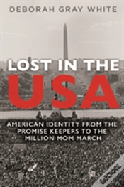 Capa do artigo Lost In The Usa