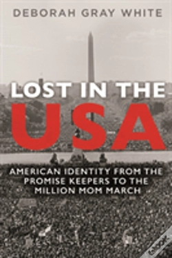 Capa do artigo Lost In The Usa