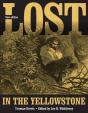 Lost In The Yellowstone - Preview