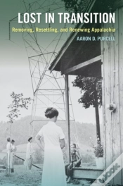 Capa do artigo Lost In Transition