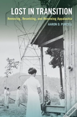 Capa do artigo Lost In Transition