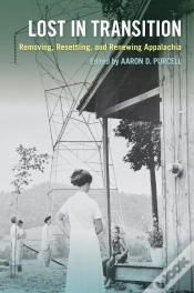 Capa do artigo Lost In Transition