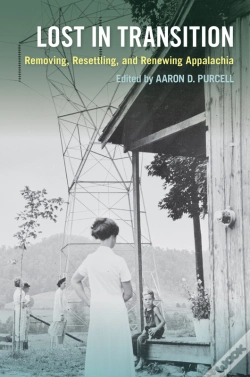 Capa do artigo Lost In Transition
