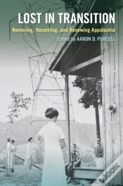 Capa do artigo Lost In Transition