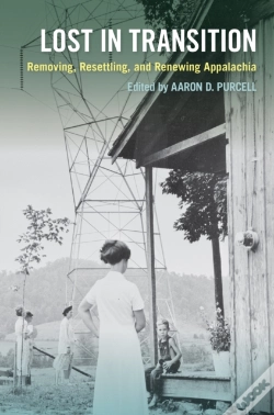 Capa do artigo Lost In Transition