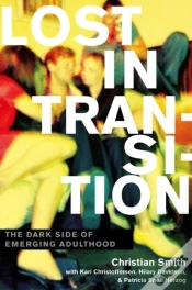 Capa do artigo Lost In Transition