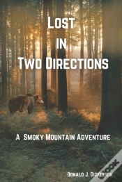 Capa do artigo Lost In Two Directions