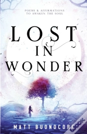Capa do artigo Lost In Wonder