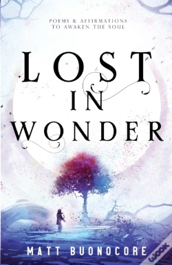 Capa do artigo Lost In Wonder