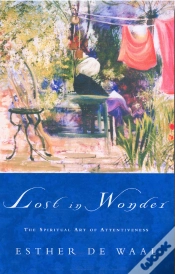 Capa do artigo Lost In Wonder