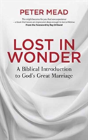Lost In Wonder - Preview