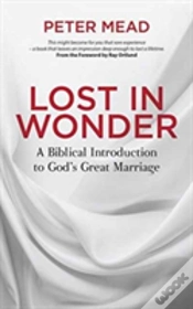 Capa do artigo Lost In Wonder