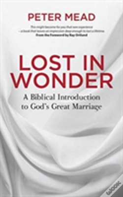 Capa do artigo Lost In Wonder