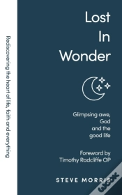 Capa do artigo Lost In Wonder
