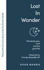 Lost In Wonder - Preview