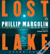 Capa do artigo Lost Lake