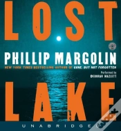 Capa do artigo Lost Lake