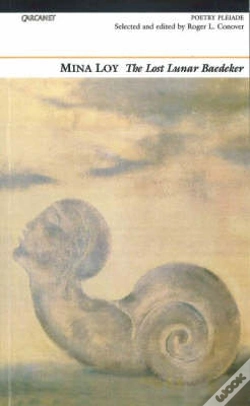Capa do artigo Lost Lunar Baedeker
