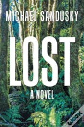 Capa do artigo Lost