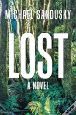 Capa do artigo Lost