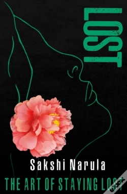 Capa do artigo Lost