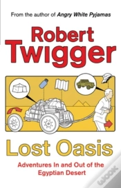 Capa do artigo Lost Oasis