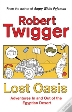 Capa do artigo Lost Oasis