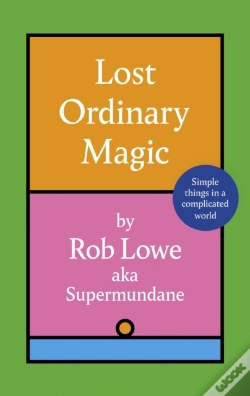 Capa do artigo Lost Ordinary Magic