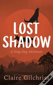 Capa do artigo Lost Shadow