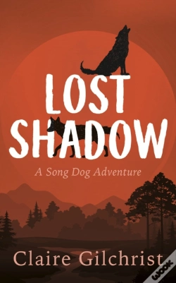 Capa do artigo Lost Shadow