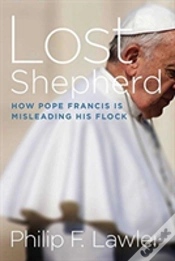 Capa do artigo Lost Shepherd