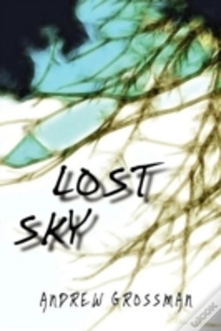 Capa do artigo Lost Sky