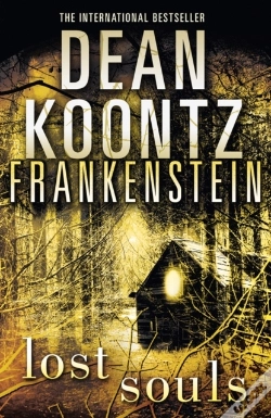 Capa do artigo Lost Souls