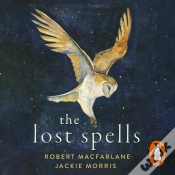 Capa do artigo Lost Spells