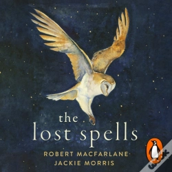 Capa do artigo Lost Spells