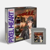 Capa do artigo Lost Terminal Game Boy