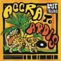 Lost Tracks - Vinil - Preview