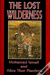 Capa do artigo Lost Wilderness